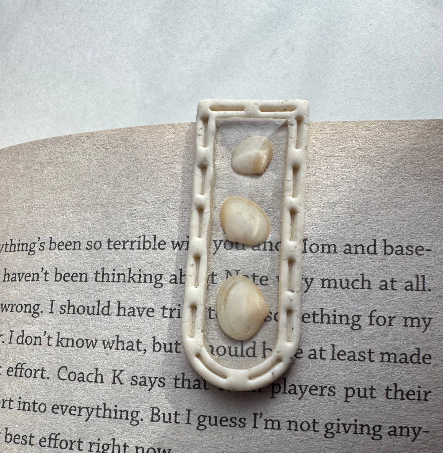 Catalyna Beach Window Bookmark (Top of Page)